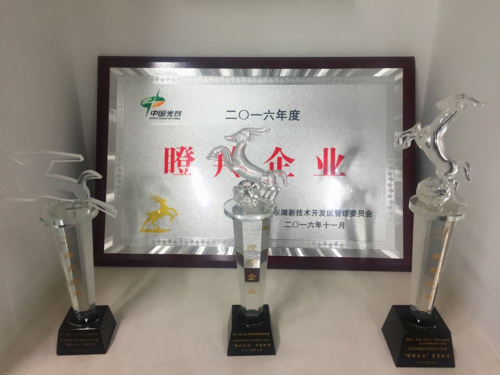公司荣获武汉市东湖新技术开发区2016年度”瞪羚企业“称号